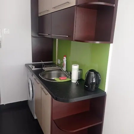 Apartament No 40 Łódź Eksteriør bilde