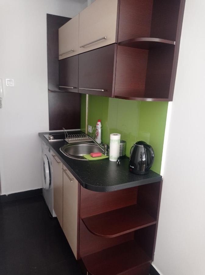 Apartment No 40 Lodz (Lodz)